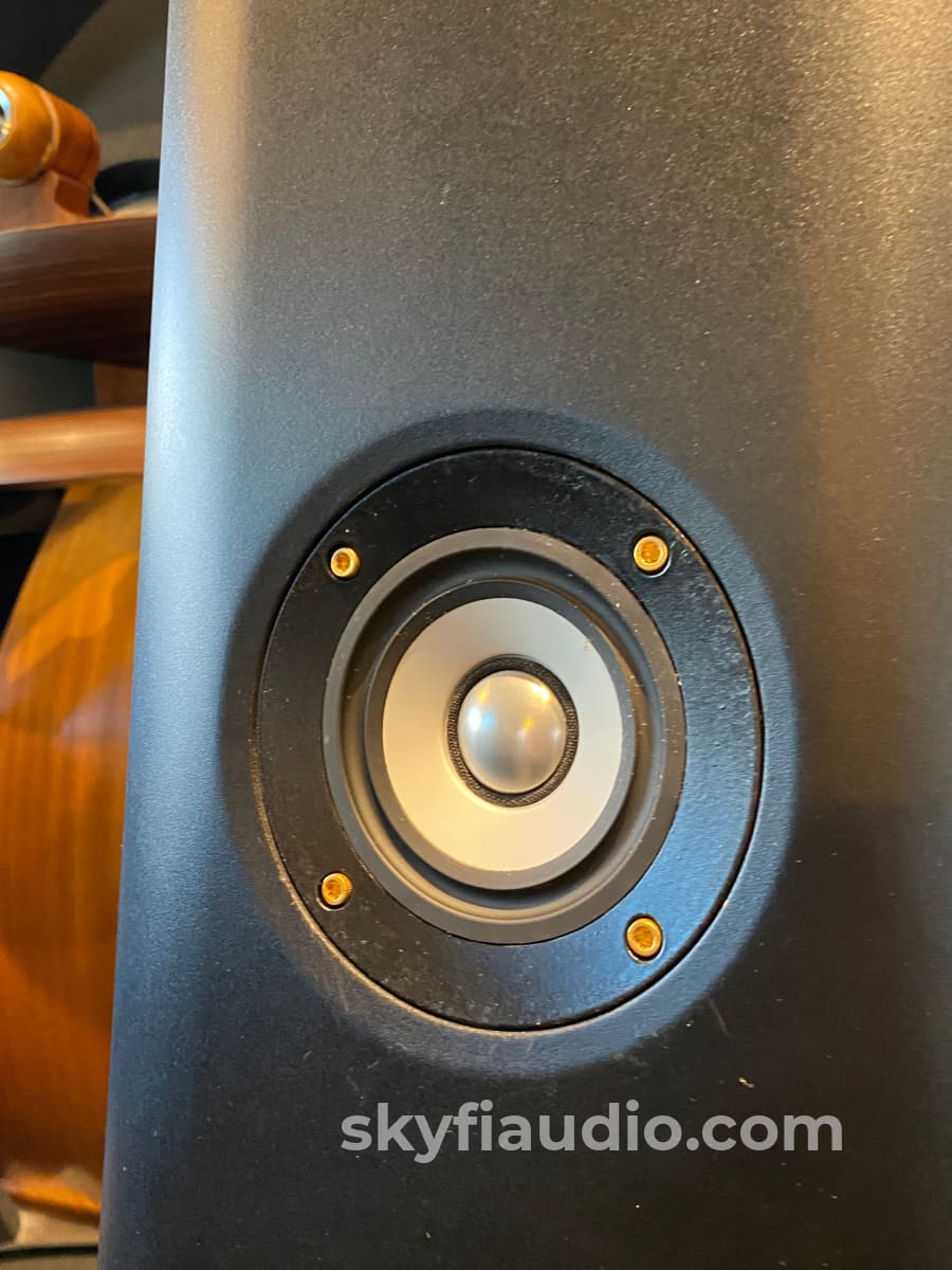 Thiel Cs2.3 Floorstanding Speakers 3-Way With Passive Radiator