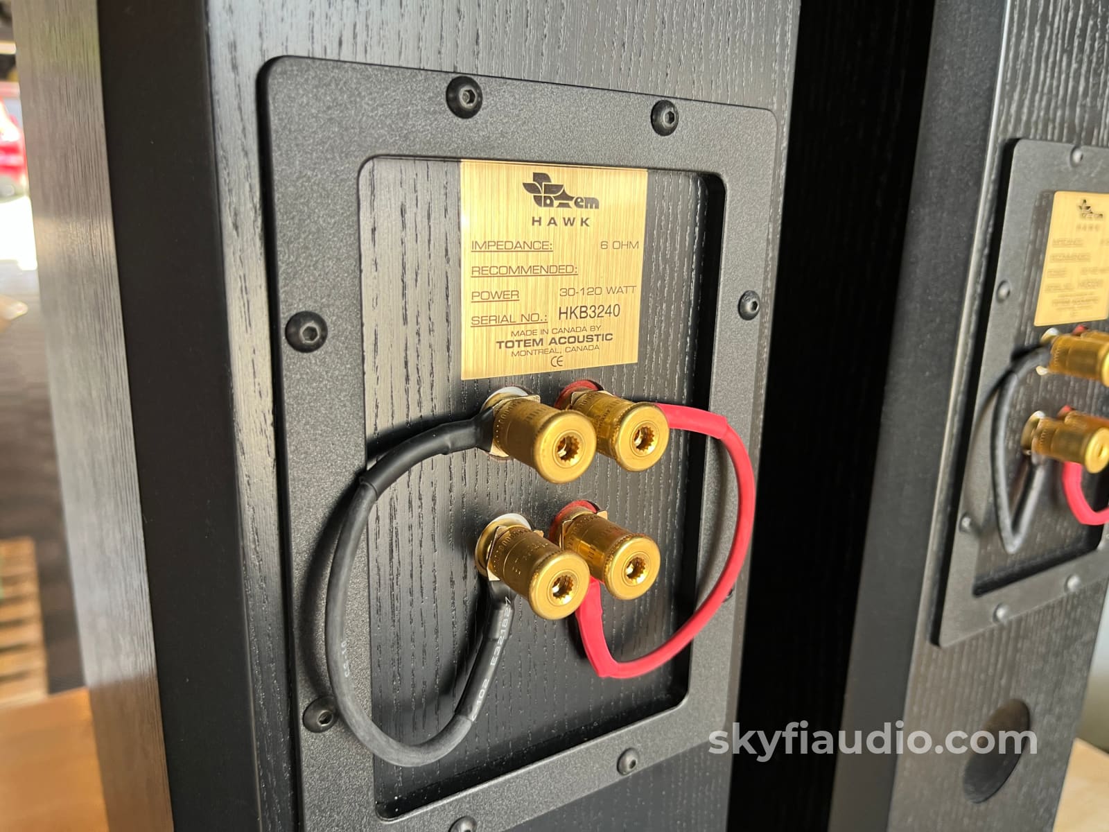 Totem Hawk Floorstanding Speakers in Black Speakers