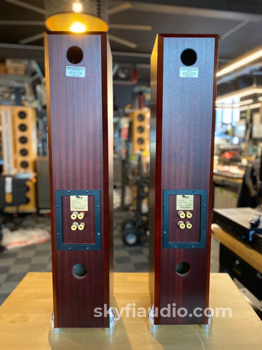 Totem Hawk Floorstanding Speakers - Deep Mahogany Finish Speakers