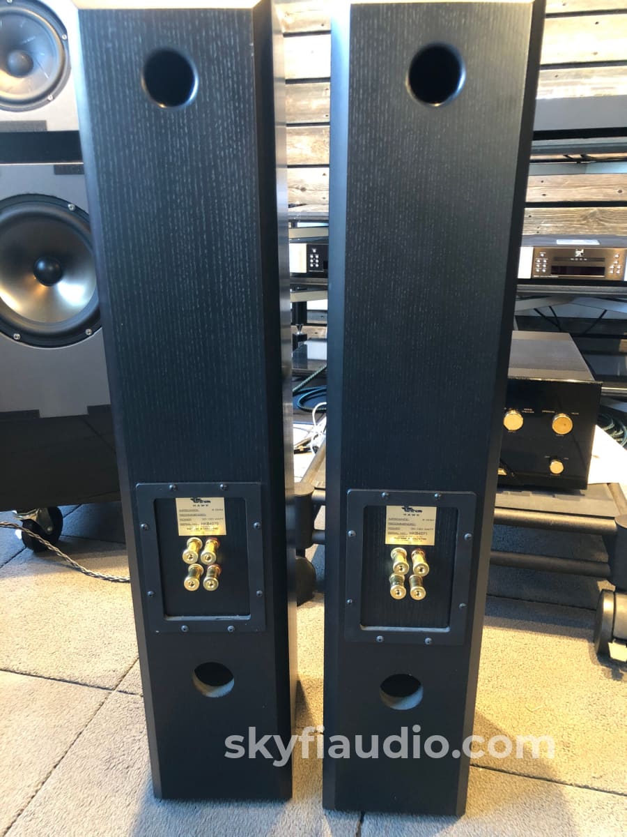 Totem Hawk Floorstanding Speakers In Black Ash