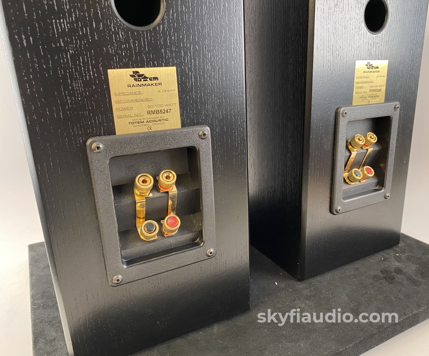 Totem Rainmaker Bookshelf Speakers - Big Sound