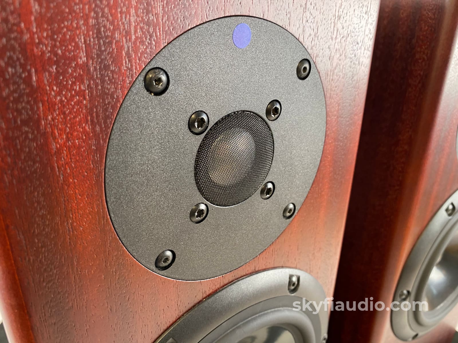 Totem Rainmaker Bookshelf Speakers In Mahagony - Big Sound