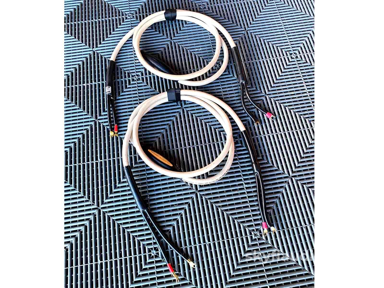 Transparent Audio MusicWave Plus Speaker Cables - Spades, 10'
