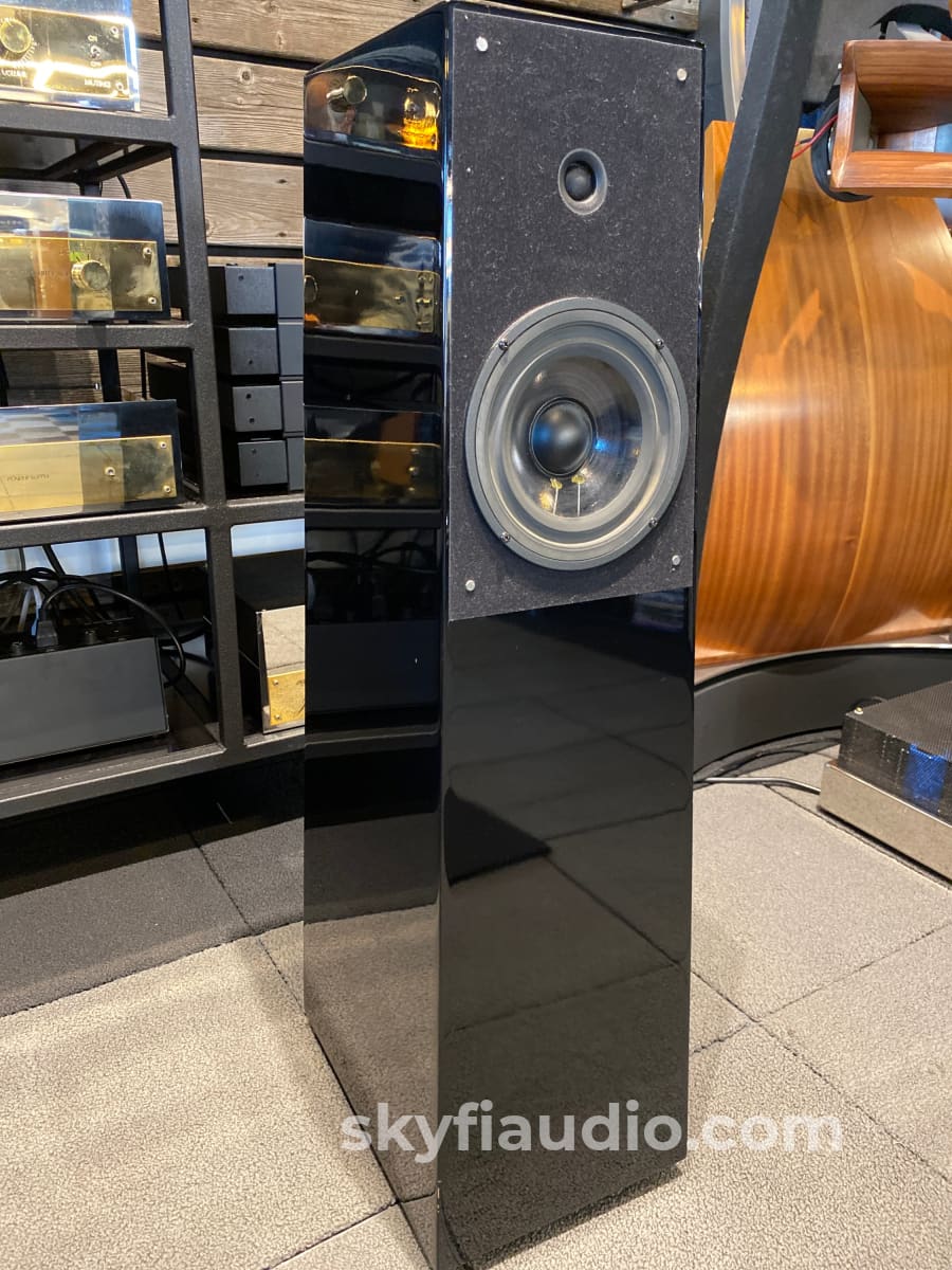 Verity Audio Tamino X3 Floorstanding Speakers - Rare!