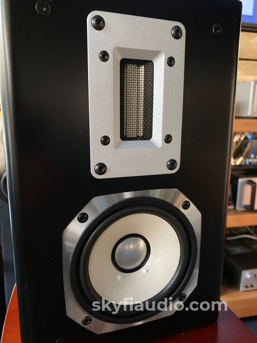 Von Schweikert Audio - Unifield Model Three Floorstanding Speakers