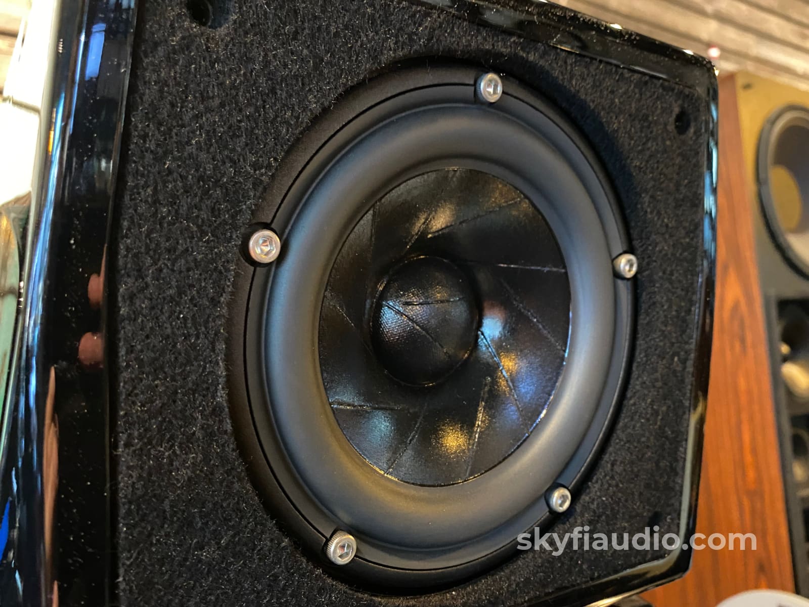 Wilson Audio Alexx Speakers In Black - Award Winning Performance