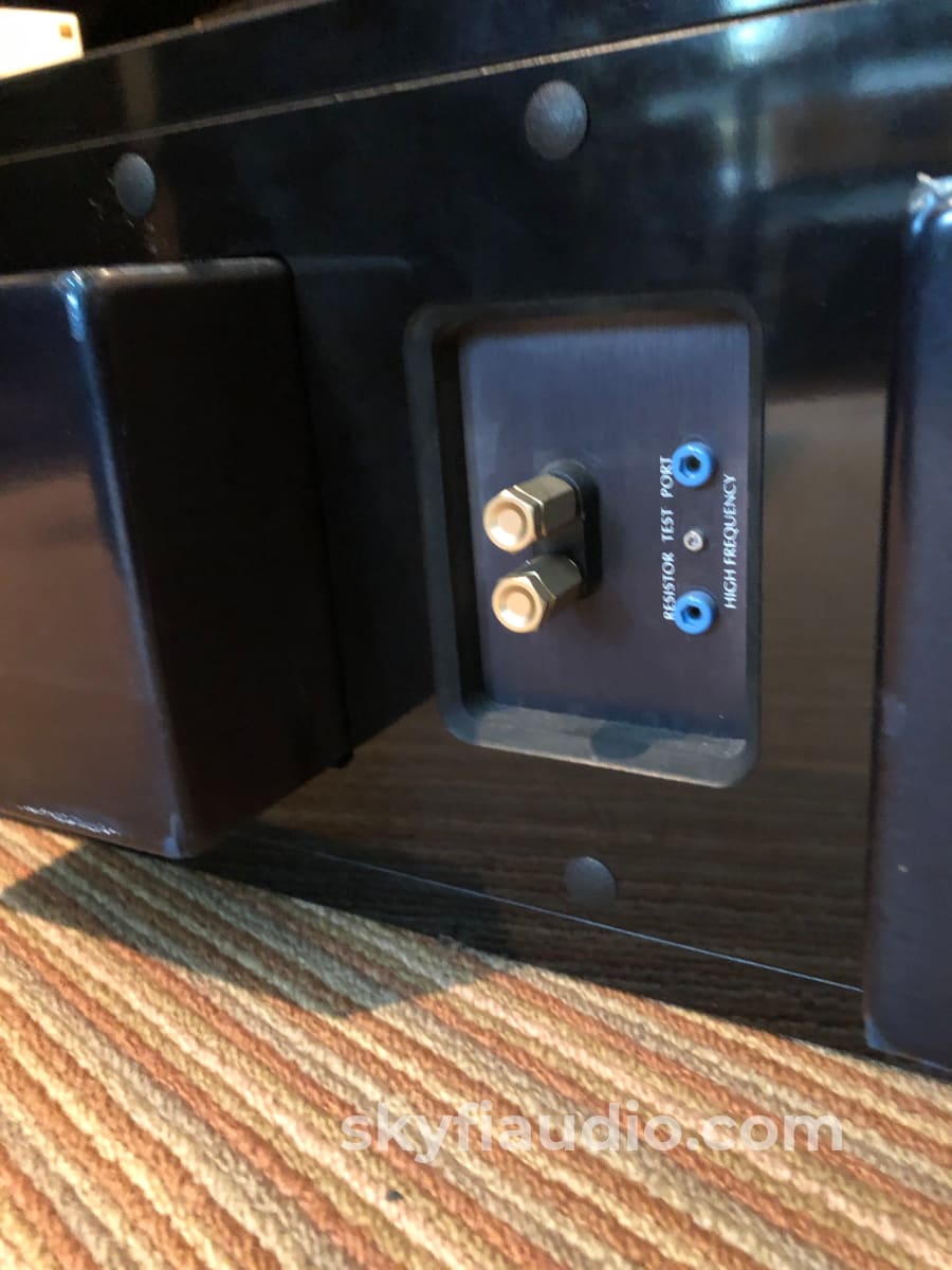 Wilson Audio Cub Center Channel Speaker - Rare Speakers