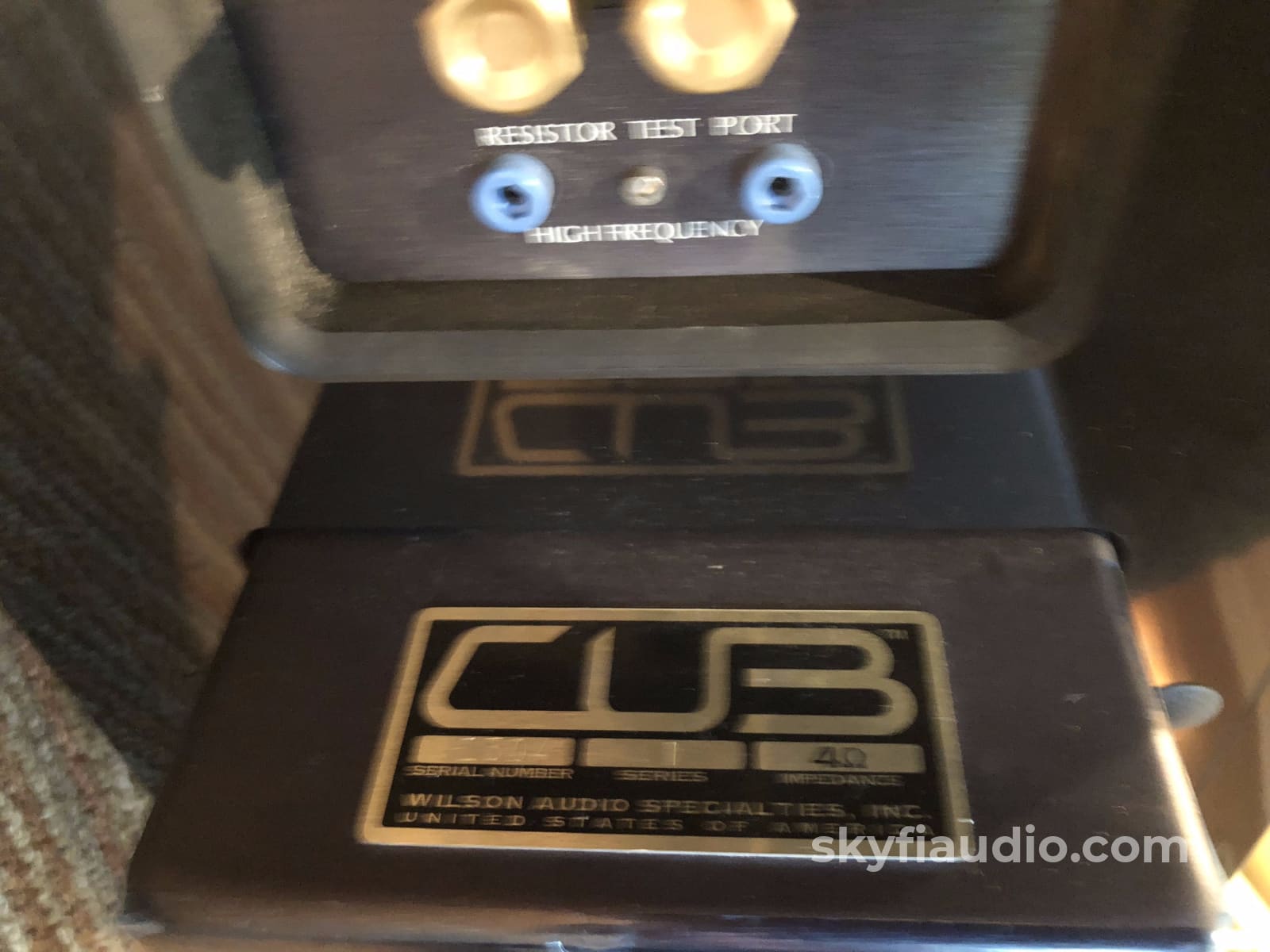 Wilson Audio Cub Center Channel Speaker - Rare Speakers