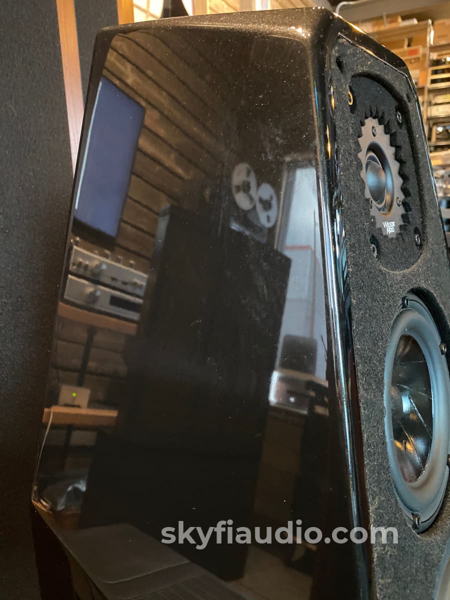 Wilson Audio Sabrina Speakers In Gloss Black