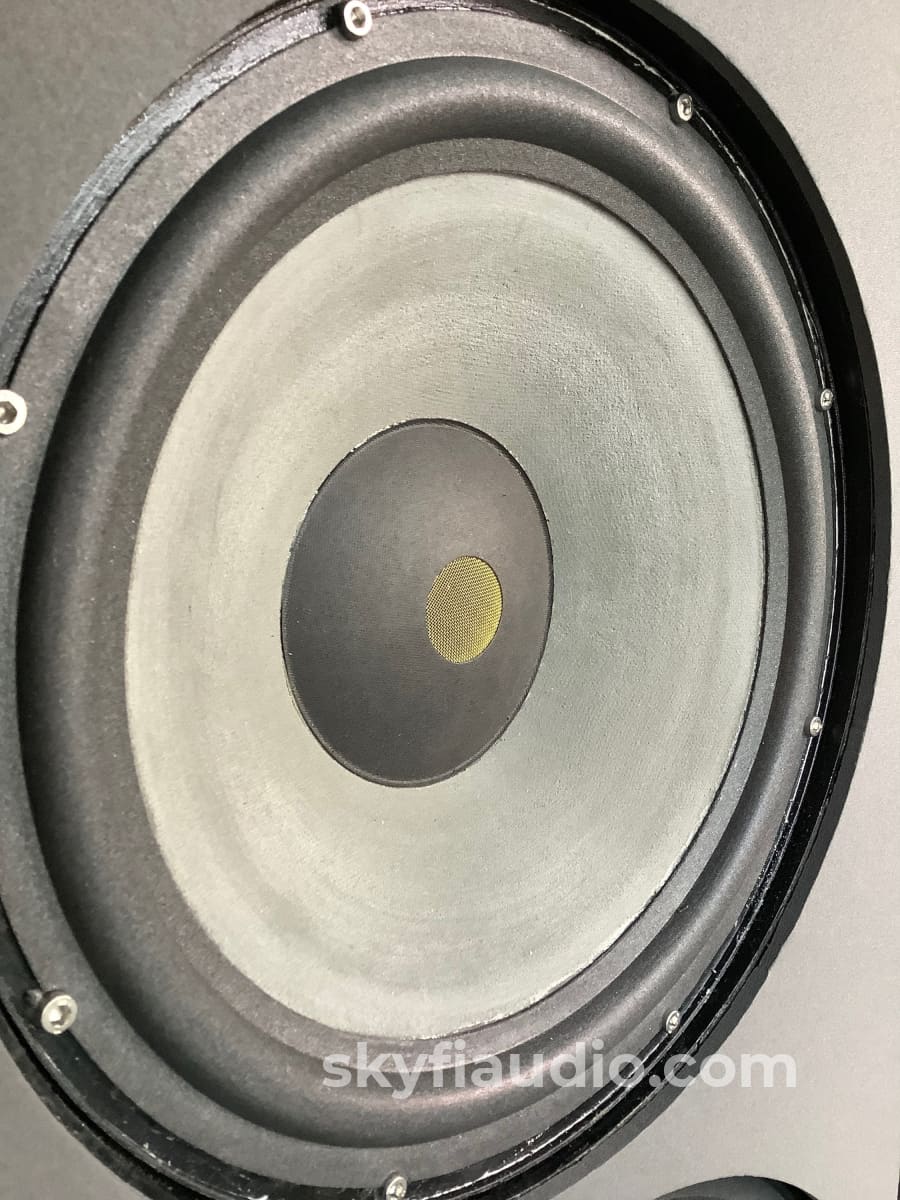 Wilson Audio X-1 Grand Slamm Series Ii Full Range Speakers - Restored