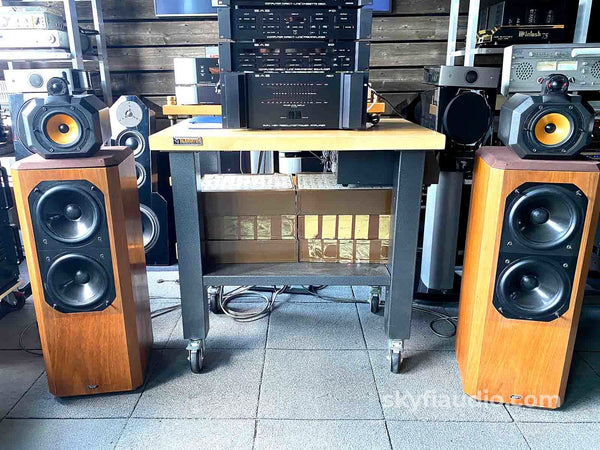Bowers & Wilkins 802 Series 80 Vintage Speakers - Skyfi Best Seller