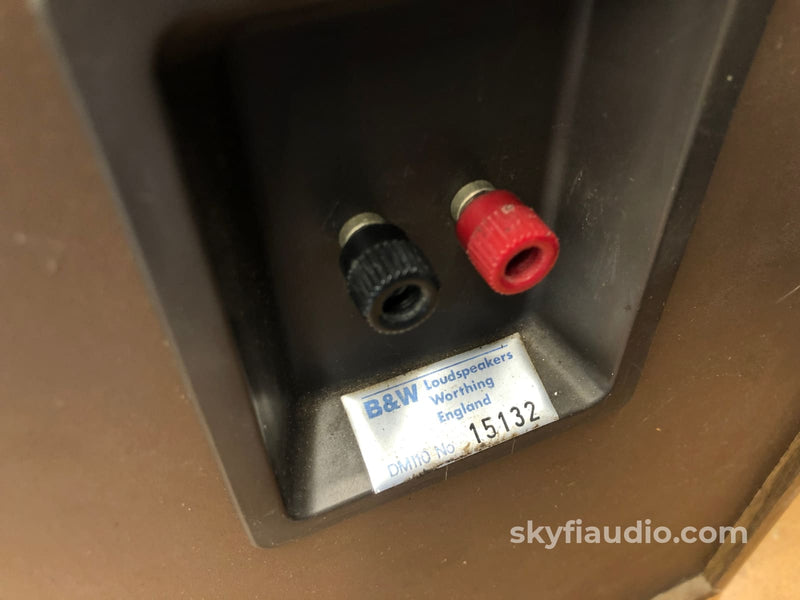 B&W (Bowers & Wilkins) DM110 Vintage 2-Way Speakers – SkyFi Audio