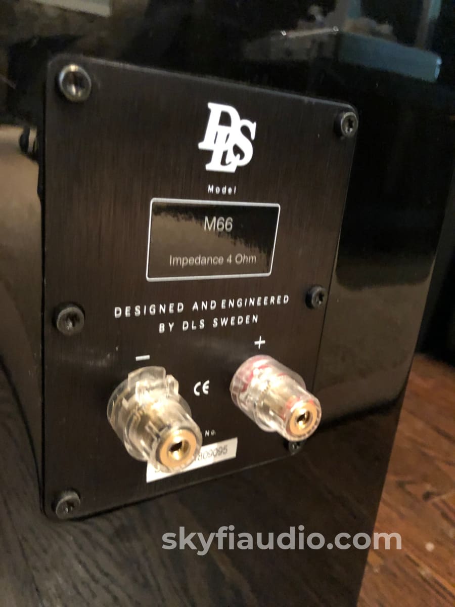 Dls M66 Full Range Speakers In Gloss Black - Rare