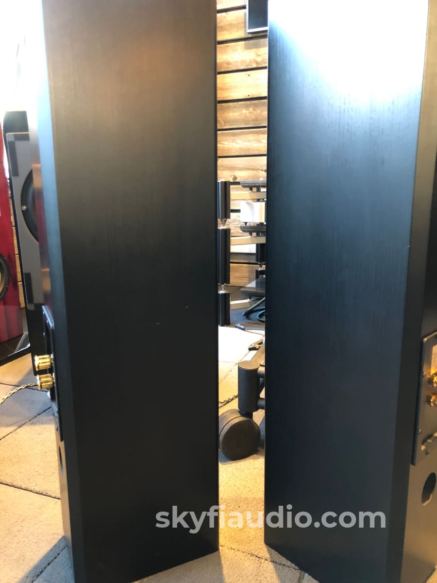 Totem Hawk Floorstanding Speakers In Black Ash